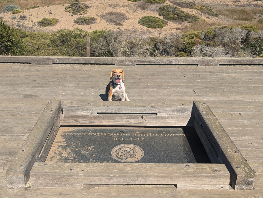 U.S. Marine Hospital Cemetery memorial