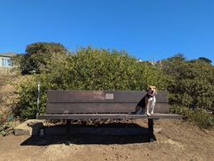 Dan Schneider bench