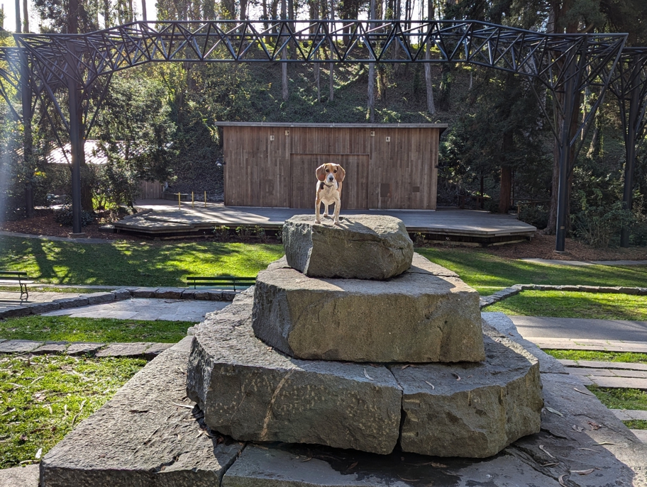 Stern Grove