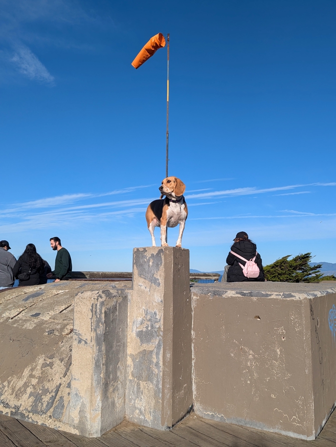 Fort Funston hang gliding launch site