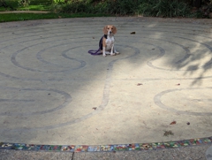 The Scott Street Labyrinth