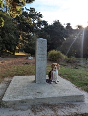 At the Broderick-Terry duel site