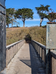 Lake Merced wooden bridge