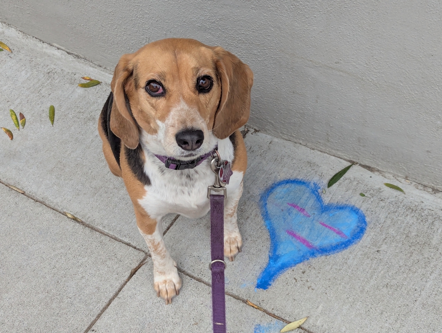 Heart on 25th Avenue North