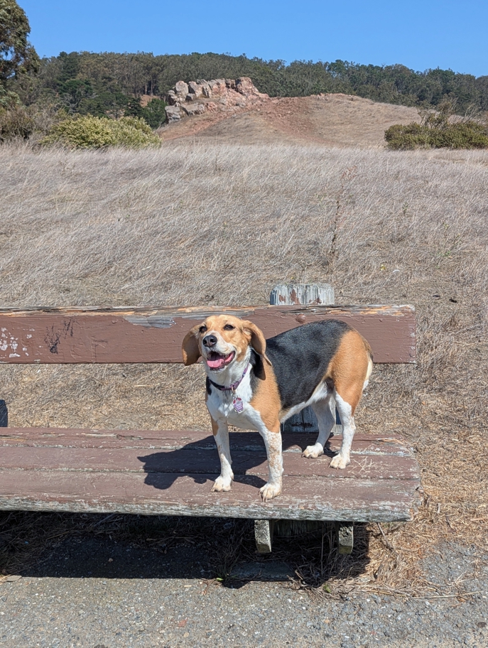 Lover's Rock