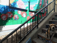 Naglee stairs