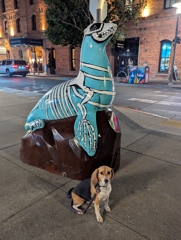 Will one of us have to eat the other?