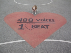 488 voices, 1 heart beat