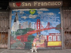 I heart San Francisco