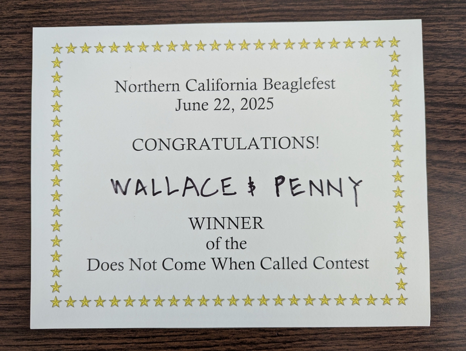 Wallace's triumph