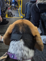 This bus isn't big enough for both of us (I)