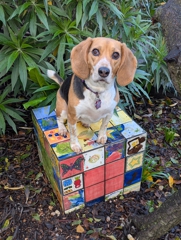 Potrero Hill tile cube