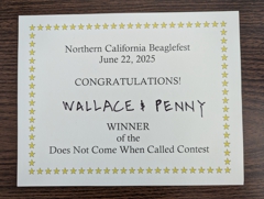 Wallace's triumph