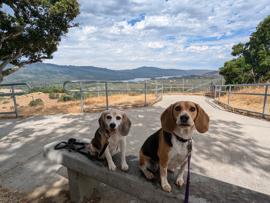 Ralph D. Percival Memorial Vista Point