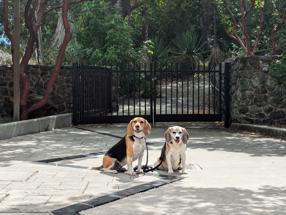 On the San Andreas Fault at the Crystal Spring Rest Area