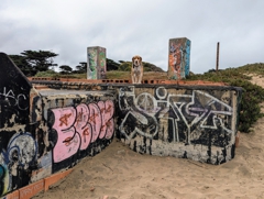 Halley deep in Fort Funston