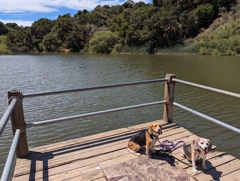 Waterdog Lake