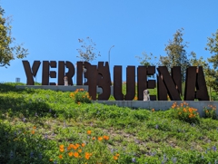 On Yerba Buena Island