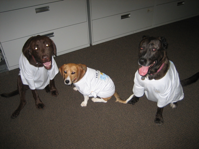 Team Healthline Doggies