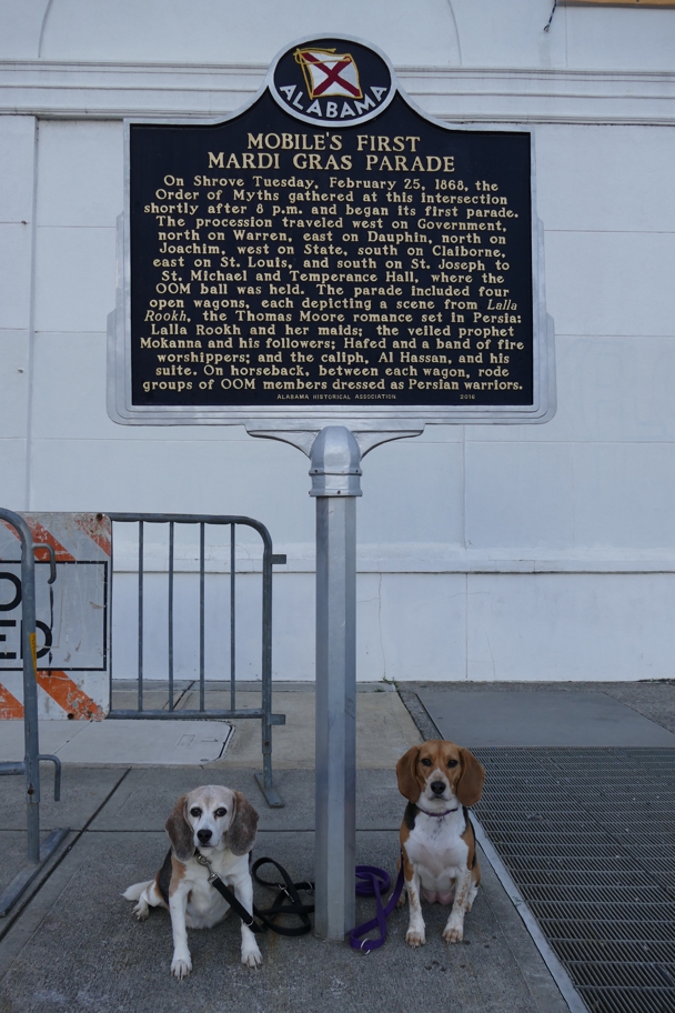 Mobile's First Mardi Gras Parade