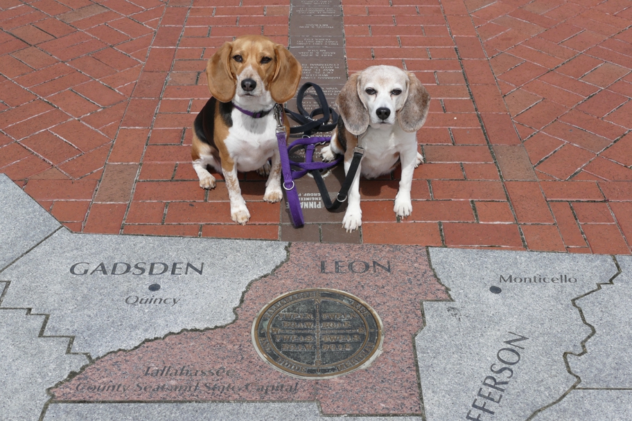 Florida's Prime Meridian