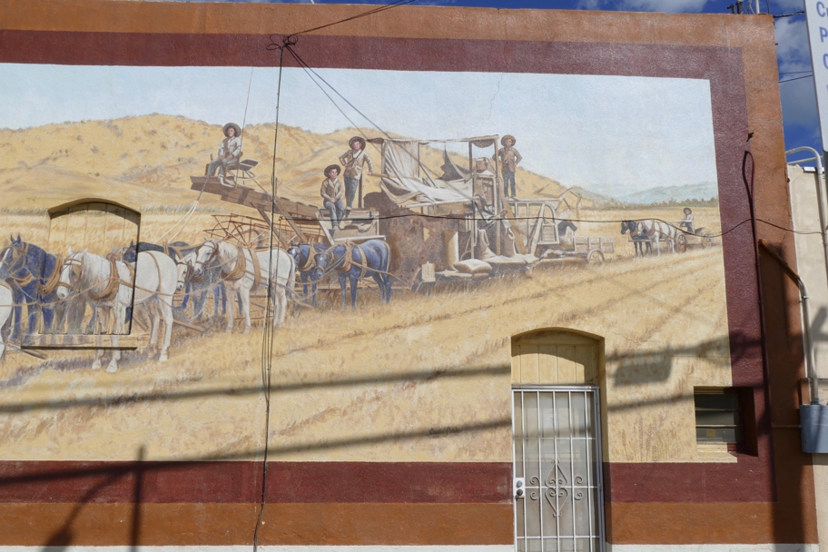 Horse-drawn mechanical thresher