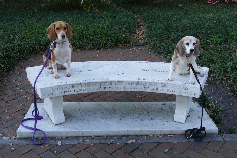 Johnny Mercer memorial bench