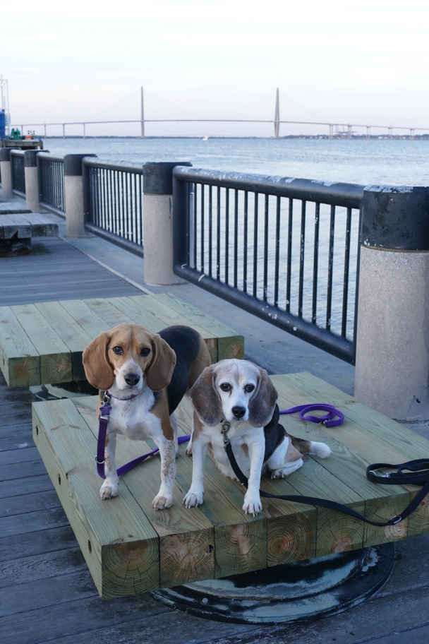 Charleston Harbor