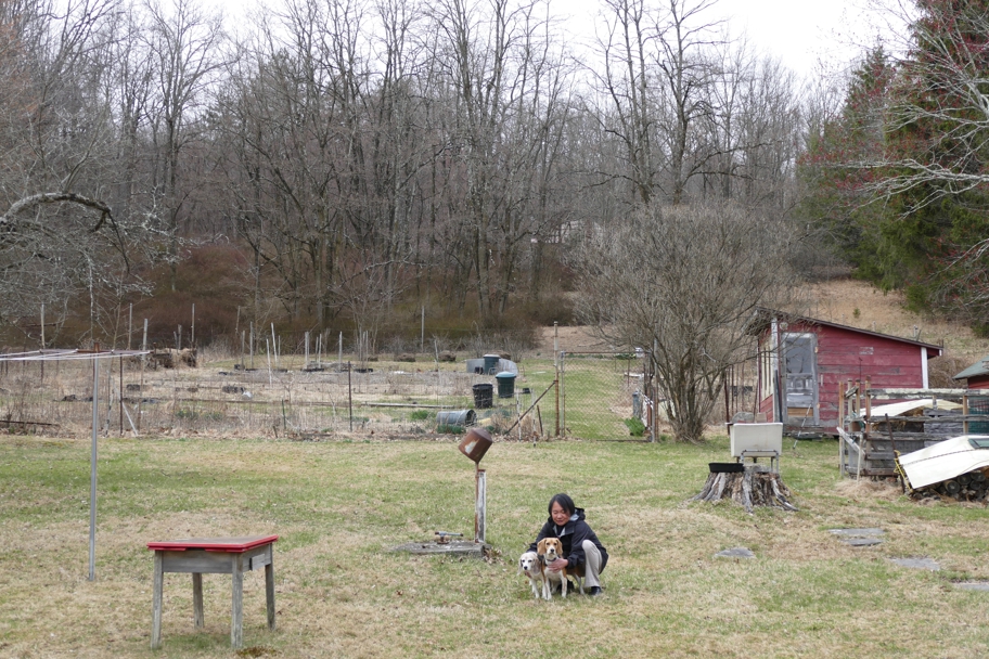 Last walk on Schweisguth Farms