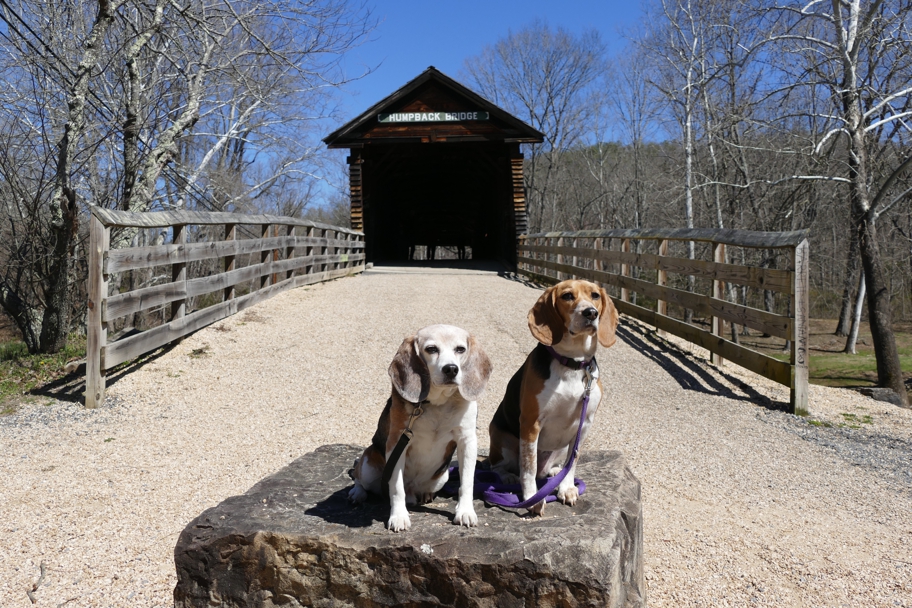 In front of Humpback Bridge