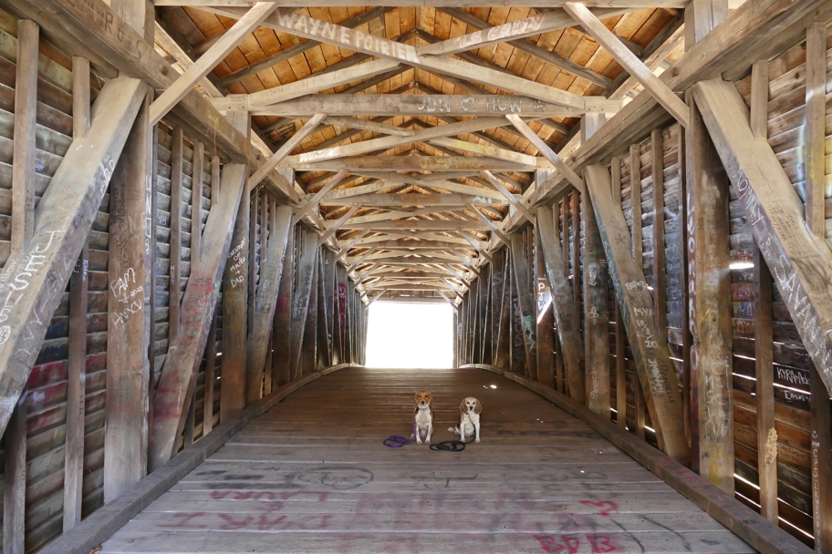 Inside Humpback Bridge