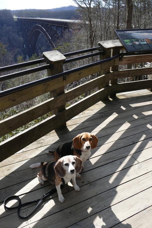 New River Gorge Bridge from above