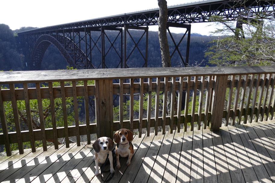 New River Gorge Bridge from below