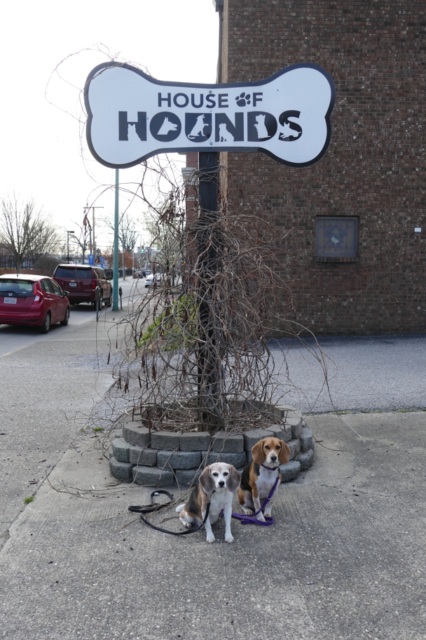 House of Hounds