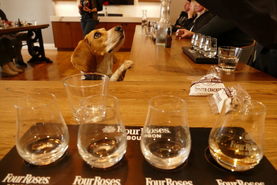 Four Roses distillery tasting