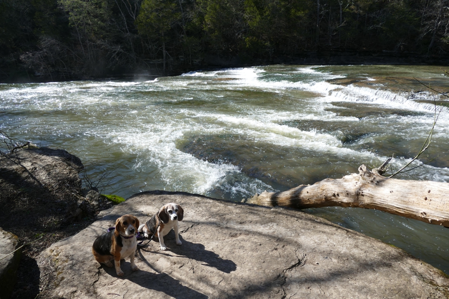 White water above the falls