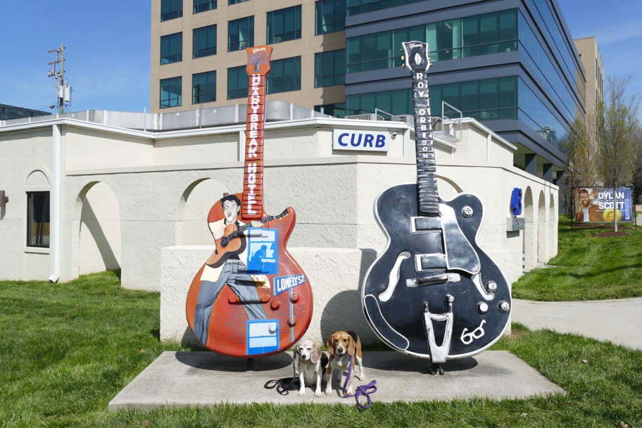 Elvis and Roy guitars