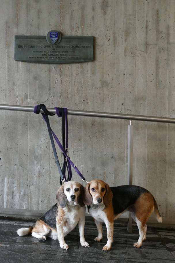 At the base of the Gateway Arch