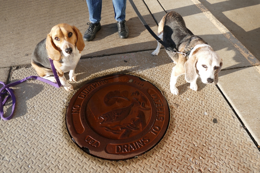 St. Louis manhole cover