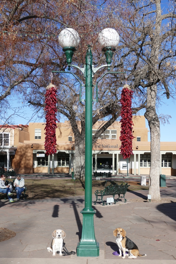 Ristras on the Plaza