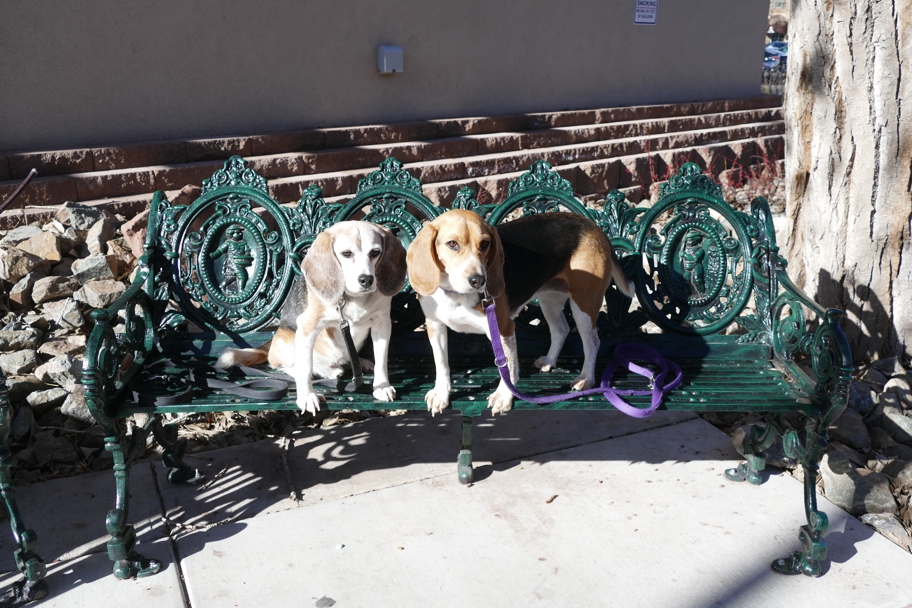 Cast iron bench