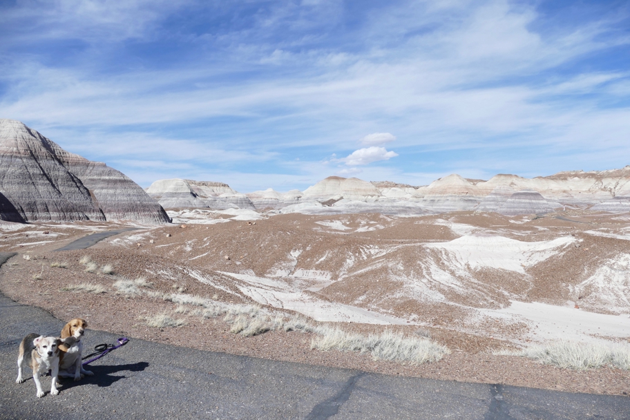 On the Blue Mesa trail