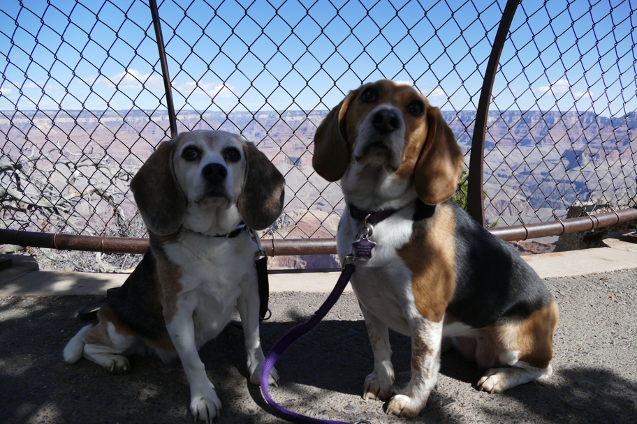 Mather Point