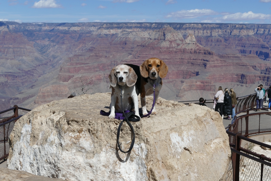 Yavapai Point