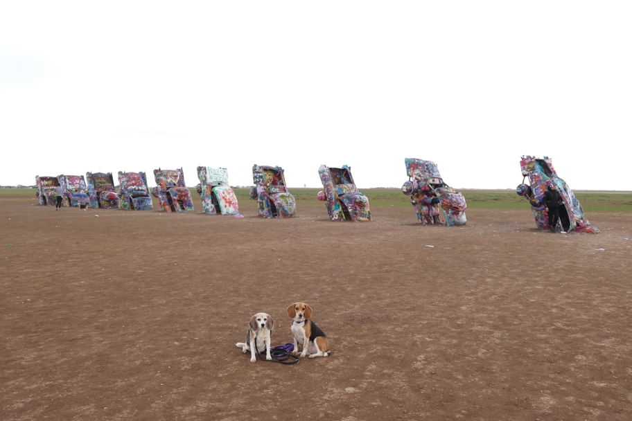 Cadillac Ranch, looking southeast