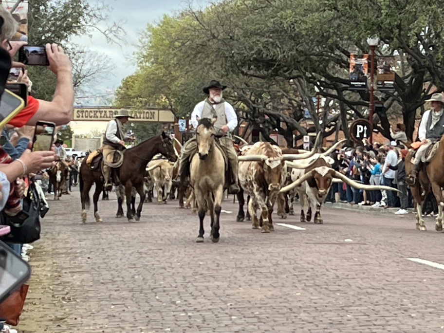 The Fort Worth Herd