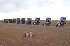 Cadillac Ranch, looking northwest