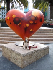 2011 Hearts in SF: 