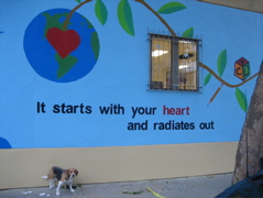 It starts with your heart and radiates out