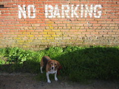 No Barking